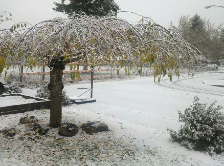 November 2010 Snow - Vancouver, WA