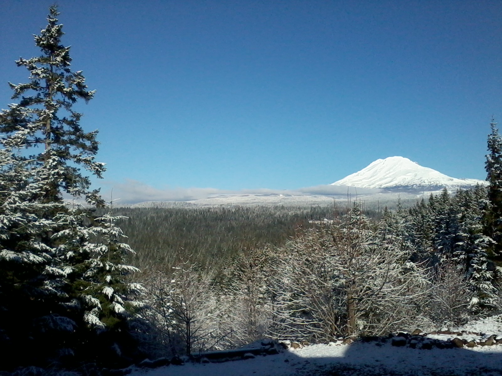 Darlisa Black photo of Mt. Adams