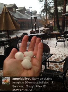 mable-sized-hail-picture